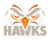 Bay Hawks